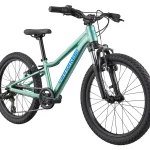 Cannondale 20 Kids Trail Bike 2025